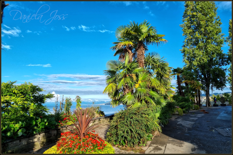 Montreux-Villeneuve-Daniela Joss