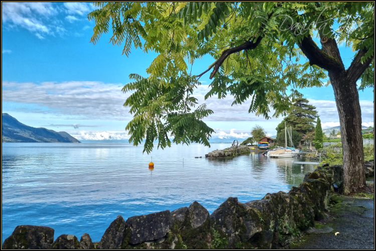 Montreux-Villeneuve-Daniela Joss
