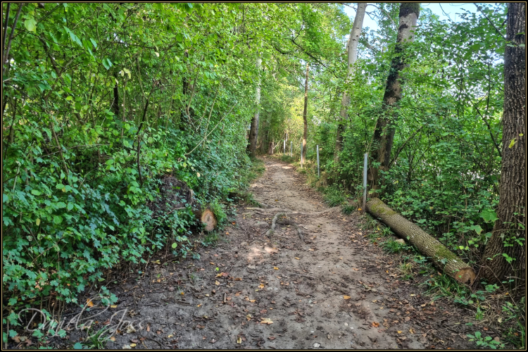 Schattenweg - Gysnauflühe - Burgdorf - Daniela Joss