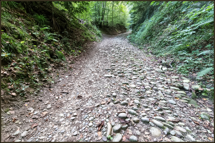 Schattenweg - Gysnauflühe - Burgdorf - Daniela Joss