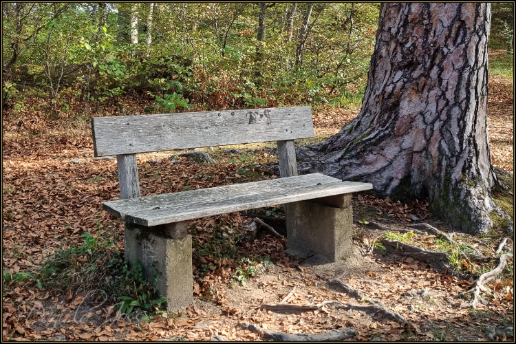 Schattenweg - Gysnauflühe - Burgdorf - Daniela Joss