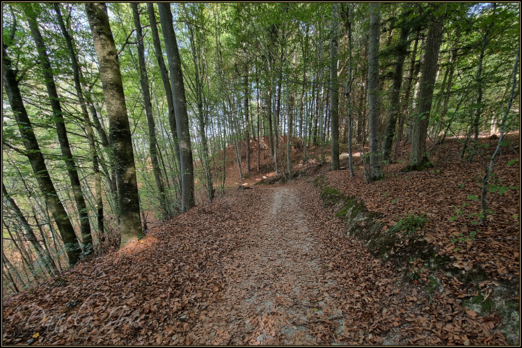 Schattenweg - Gysnauflühe - Burgdorf - Daniela Joss