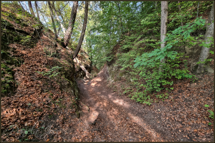 Schattenweg - Gysnauflühe - Burgdorf - Daniela Joss