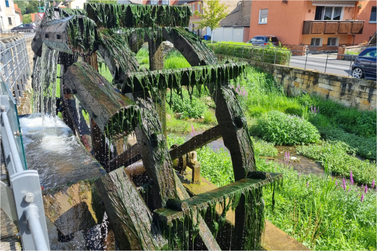 Von Bamberg nach Aschaffenburg - Daniela Joss