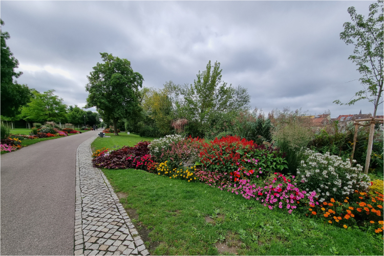 Bamberg - Aschaffenburg - Daniela Joss