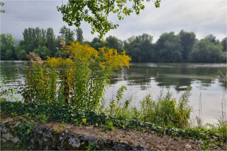 Bamberg - Aschaffenburg - Daniela Joss