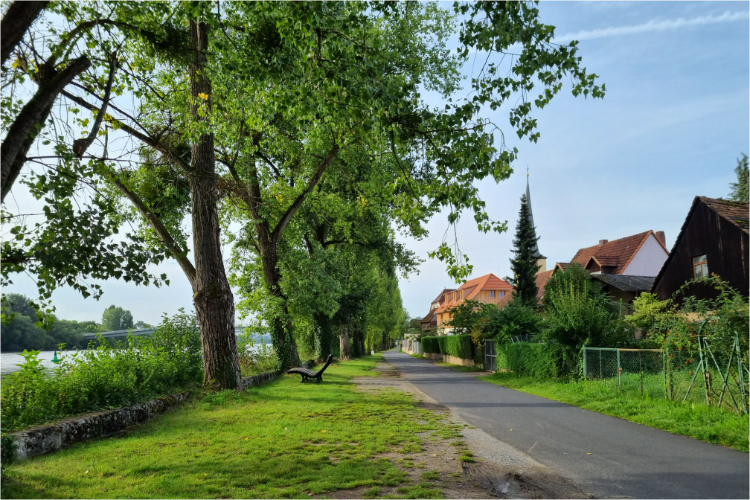 Bamberg - Aschaffenburg - Daniela Joss