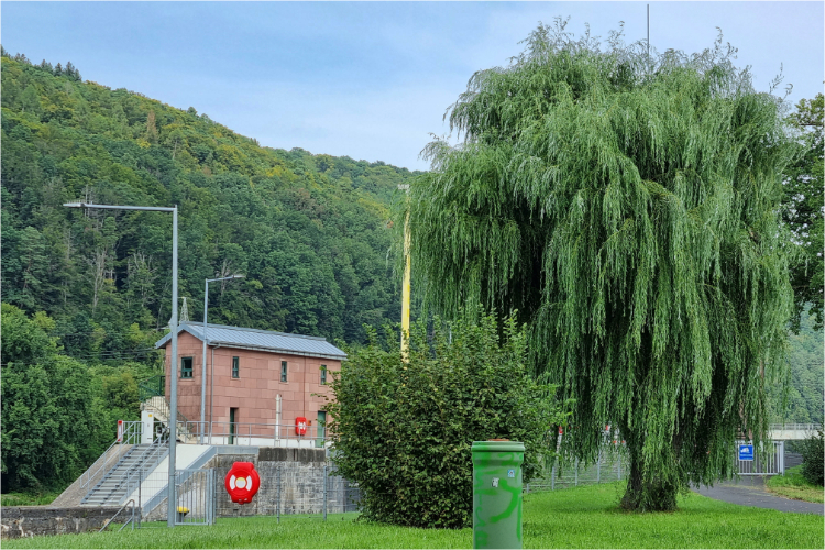 Bamberg - Aschaffenburg - Daniela Joss