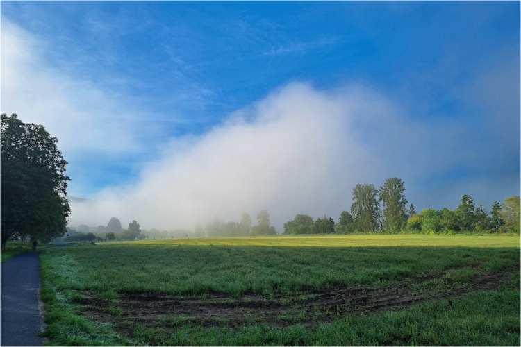 Bamberg - Aschaffenburg - Daniela Joss