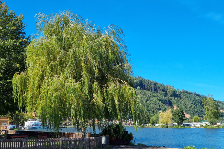 Bamberg - Aschaffenburg - Daniela Joss