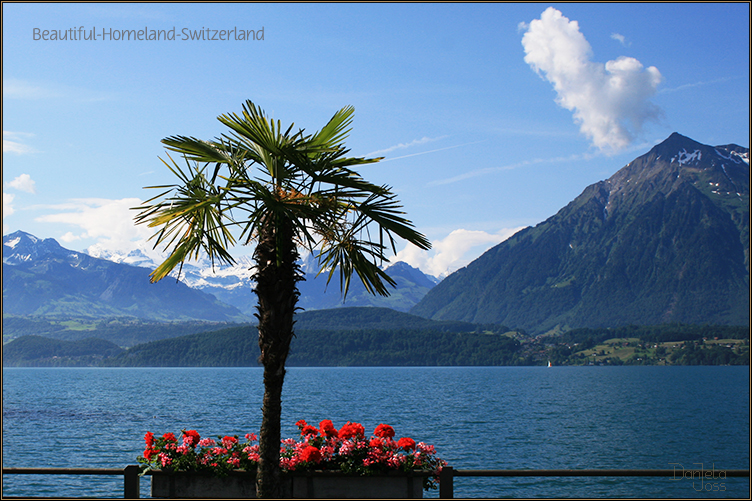 Beautiful Homeland Switzerland – Daniela Joss – Bild 12