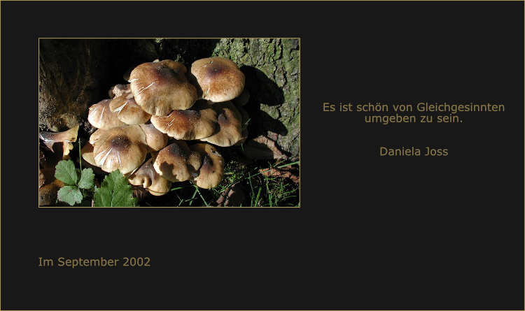 Gedankenbilder Daniela Joss
