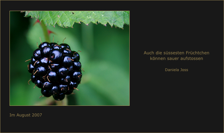 Gedankenbilder - Daniela Joss