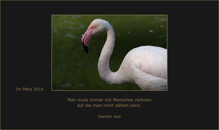 Daniela Joss Gedankenbild