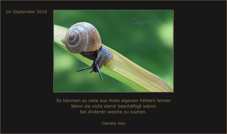 Daniela Joss Gedankenbild
