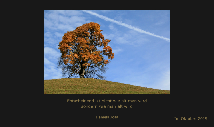 Daniela Joss Gedankenbilder