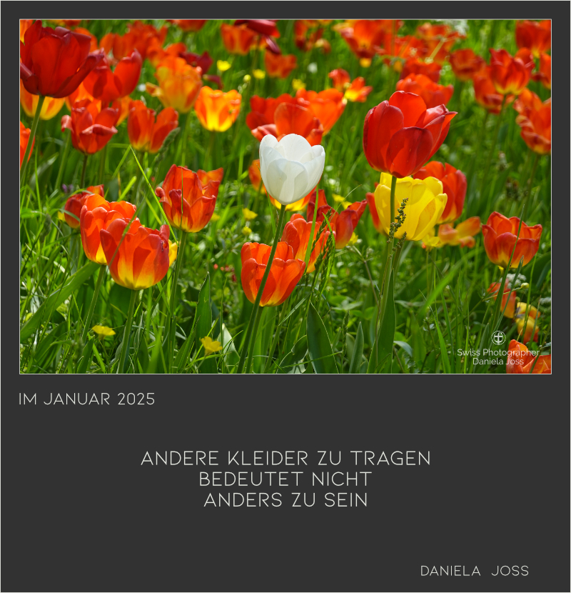 Gedankenbilder Daniela Joss