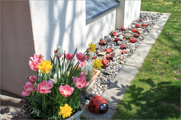 Daniela Joss - Mein Garten 2011