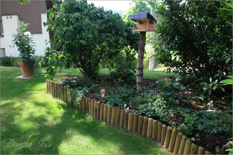Daniela Joss - Mein Garten 2011