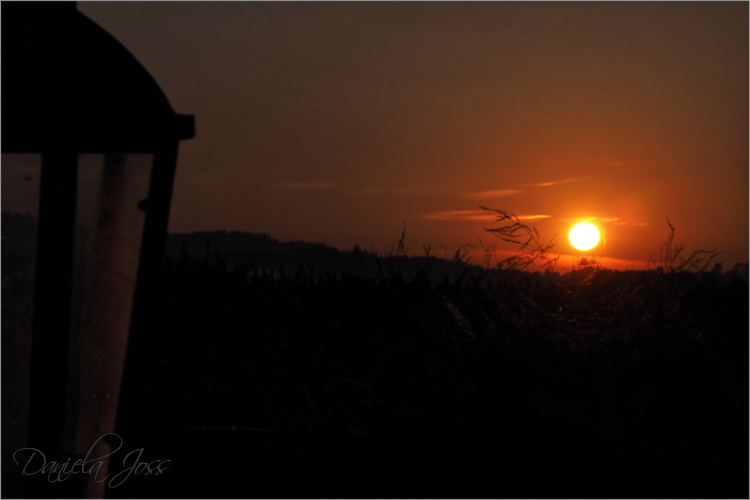 Sonnenaufgang über dem Garten und den Feldern im Jahr 2012, fotografiert von Daniela Joss