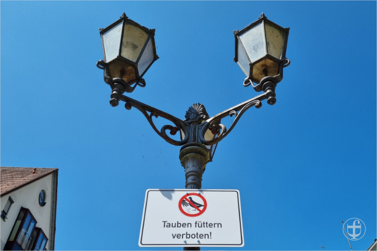 Hohe Doppellüster Laterne als Strassenbeleuchtung von Daniela Joss.