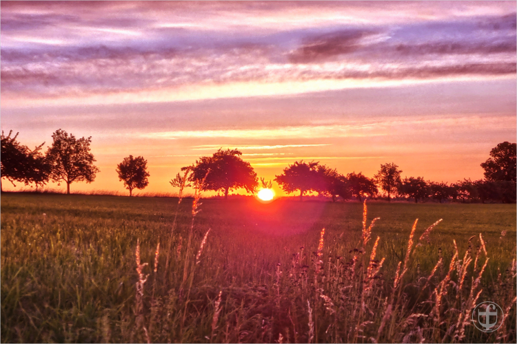 Morgenstimmung auf dem Campingplatz, Sonnenaufgang von Daniela Joss