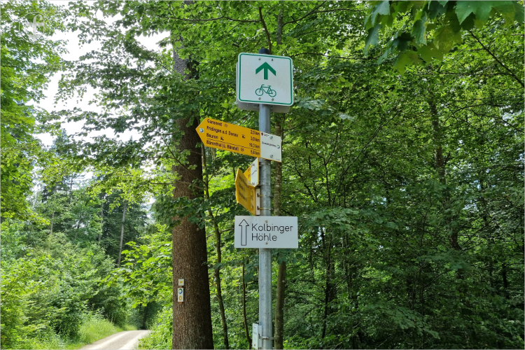 Wegweiser auf dem Waldparkplatz von Daniela Joss