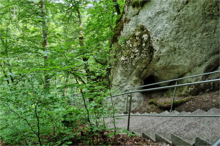 Entlang von Felsformationen und Bäumen eine weitere Treppe von Daniela Joss