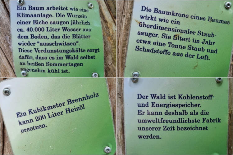 Plaketten mit vielen Informationen von Daniela Joss