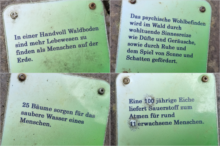 Plaketten mit vielen Informationen von Daniela Joss
