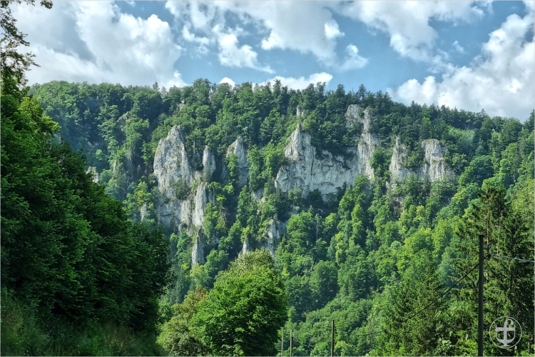 Panoramastrasse mit Felsengarten von Daniela Joss