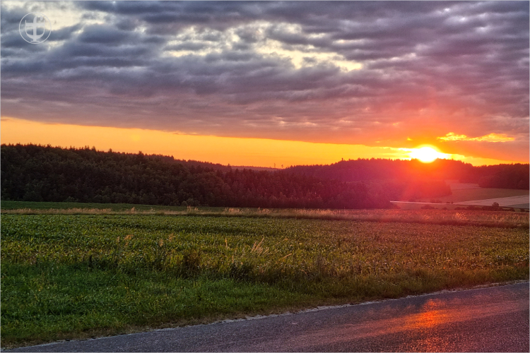 Sonnenaufgang über dem Wald von Daniela Joss