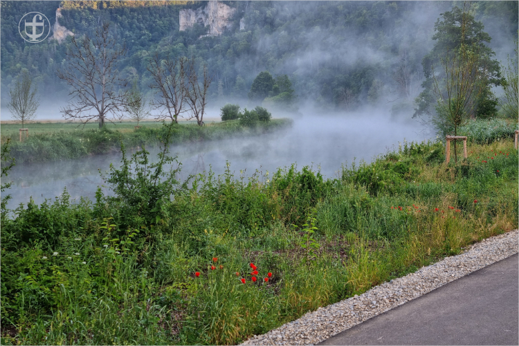 Morgennebel über dem Wasser von Daniela Joss