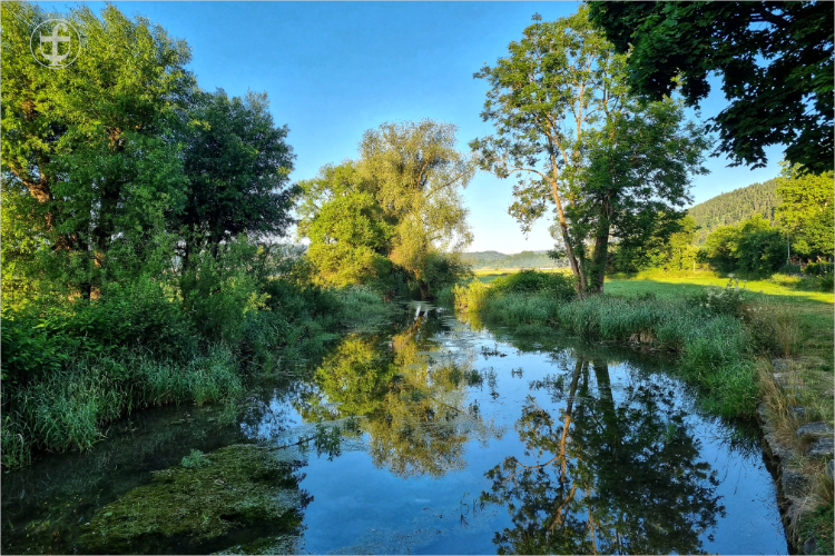 Teich mit glasklarem Wasser, die Bäume spiegeln sichim klaren Wasser von Daniela Joss