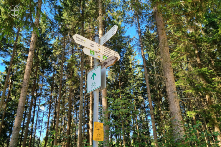 Wegweiser im Wald von Daniela Joss