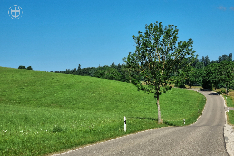 Strasse durch saftig grüne Wiesen von Daniela Joss