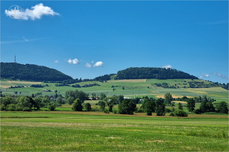 Weitsicht über Felder, Grasland und mit Bäumen bewachsene Hügel von Daniela Joss