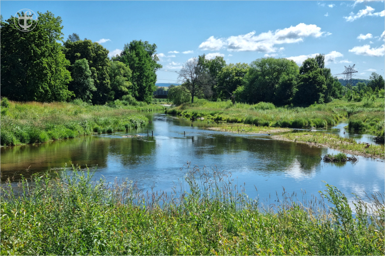 Die neu entstandene Donau fluesst gemächlich dahin in einem malerischen Flussbett von Daniela Joss