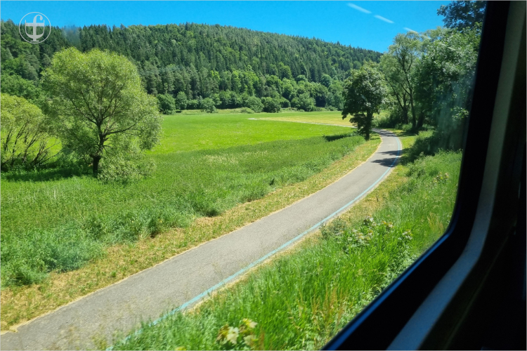 Strasse durch saftig grüne Wiesen von Daniela Joss