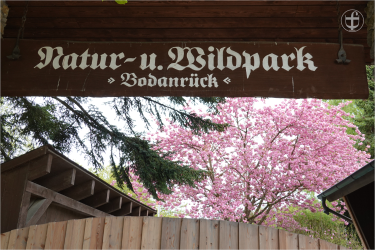 Wildpark - Allensbach - Daniela Joss