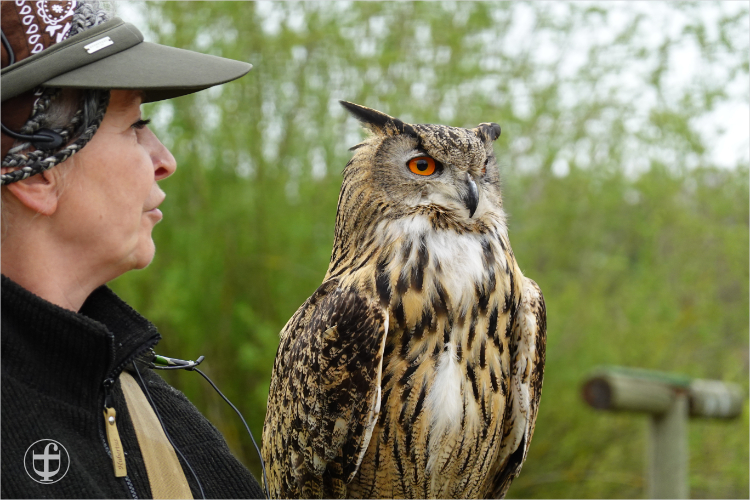 Wildpark - Allensbach - Daniela Joss