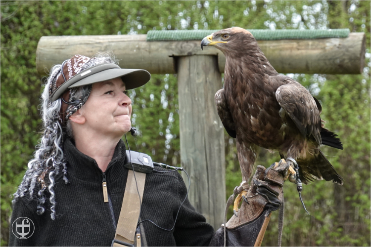 Wildpark - Allensbach - Daniela Joss