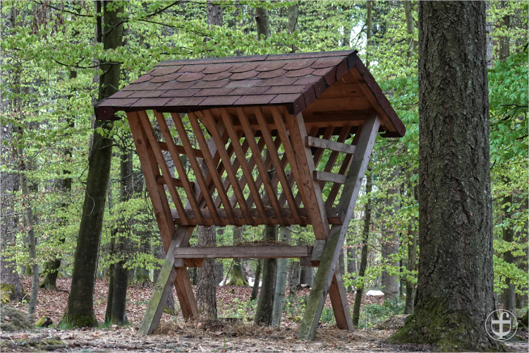 Wildpark - Allensbach - Daniela Joss