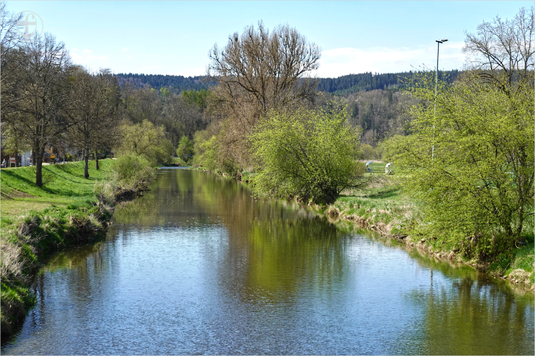 Donauquelle - Daniela Joss