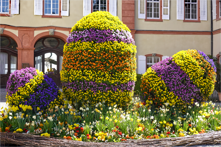 Insel Mainau - Daniela Joss