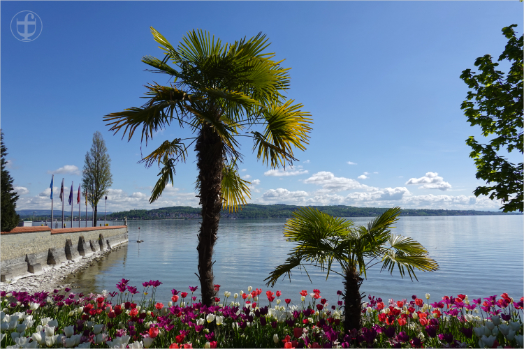 Insel Mainau - Daniela Joss