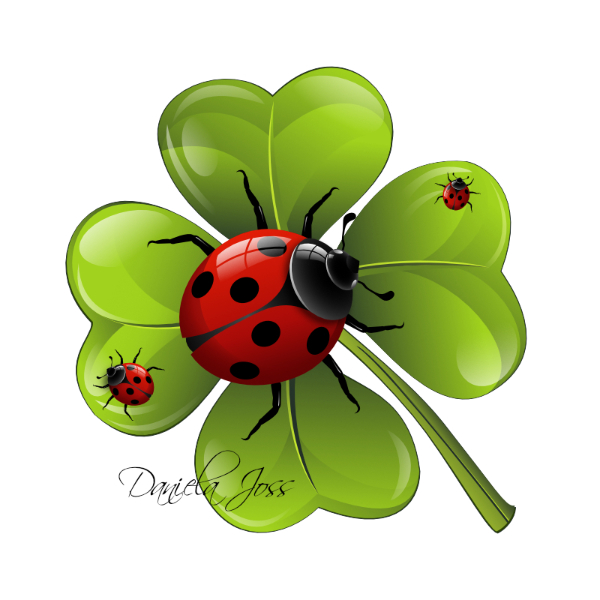 Kleeblatt, Marienkäfer, Lady-Bug